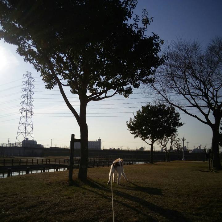 4fddc3a3 85b9 4671 b011 677a3669b33b 1518162583766