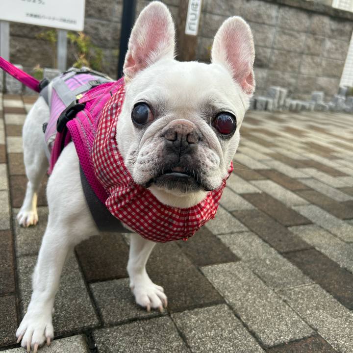 4fddc4b9 0f95 4871 900d 5a70eac36ccd 1724741605917