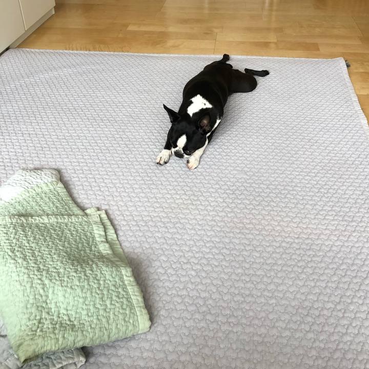 4fde24bb e0a0 4f68 ad90 422b8b863e95 1564358034319