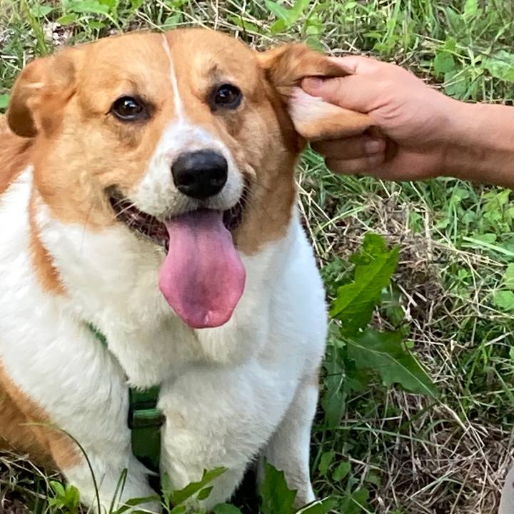 4fde2d51 59d7 49b1 b9c0 fec6e104f14f 1720050997325