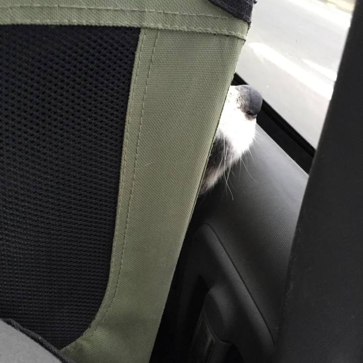 4fde5458 d1ab 4f9b 81c7 bf68670c25ab 1546323076157