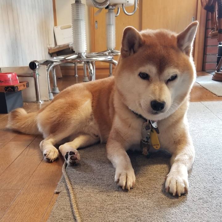 4fde78ee 21c5 4105 94a0 504a10a6ad6d 1601165513385