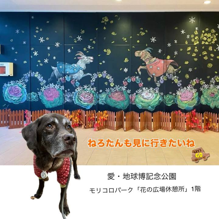 4fde9ccf b5f1 4979 b67e aaff6f23ca16 1763535094011