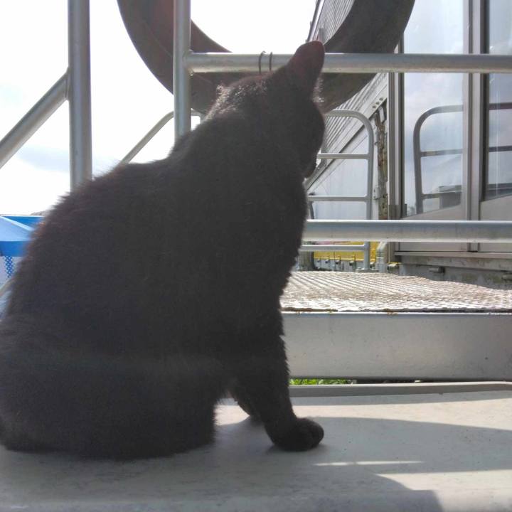 4fdeb560 c08b 40e4 82cd 66948210a7a1 1718161034445