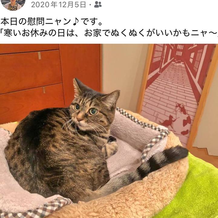 4fdf1c40 4f4f 4fe8 8df7 5008c6493f64 1764896780097