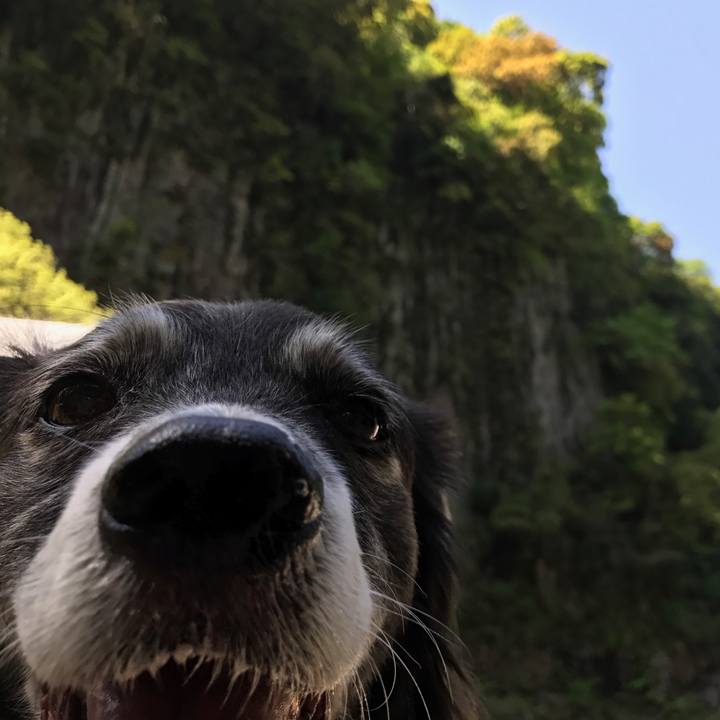 4fdf28b2 a6d7 4f6b bd21 5bd70a701ef2 1524234897589