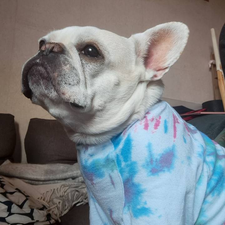 4fdf5eb7 c0d7 4892 836a 62baa0d80aec 1758887851788