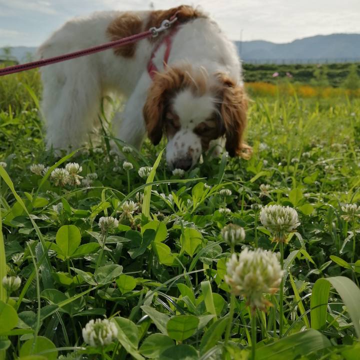 4fdf6ec7 6a80 451d a8d2 98188c0c1468 1624844755570