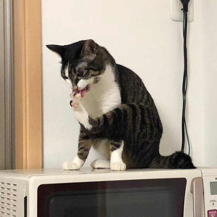 4fdf94af 2fa0 4ed2 b9ae afeffe60ba85 1564087600730