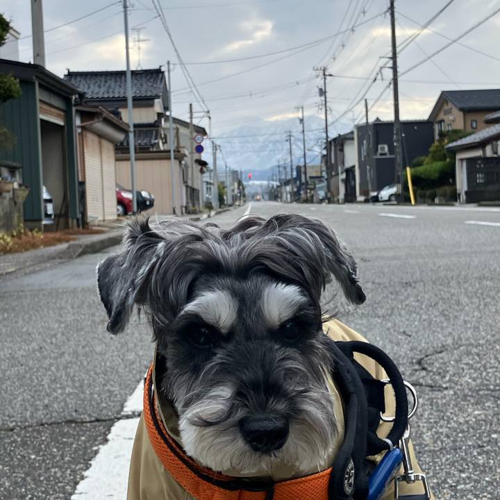 4fdfe62c 5821 4323 a592 065603131236 1735741256204