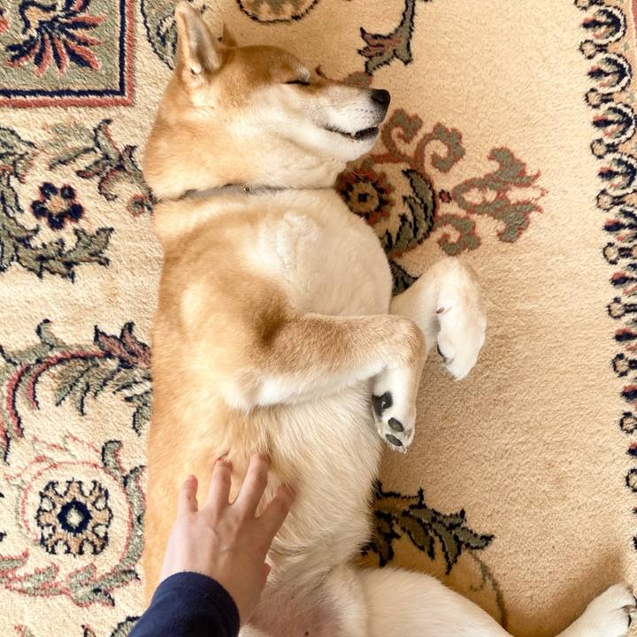 4fdfe955 0c08 45dc 8c63 f54d3dfb9404 1676075670583