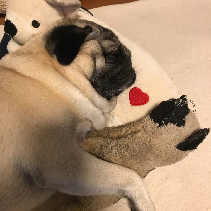 4fe01e53 15aa 4463 99b4 9343031d93a7 1527512392409