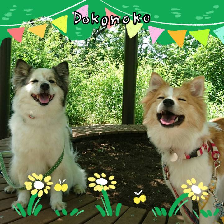 4fe0249f 7a62 4861 bc8b bc704cbe38a3 1711020827532