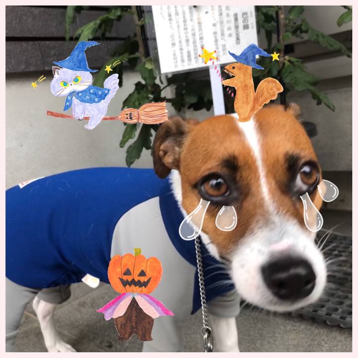 4fe02ec9 5a71 459d bc07 b128d617ee52 1572131409097