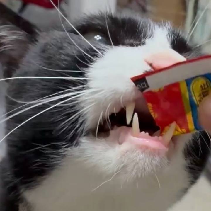 4fe071c5 8eeb 4d43 a65f 967344c58f2a 1754127796779