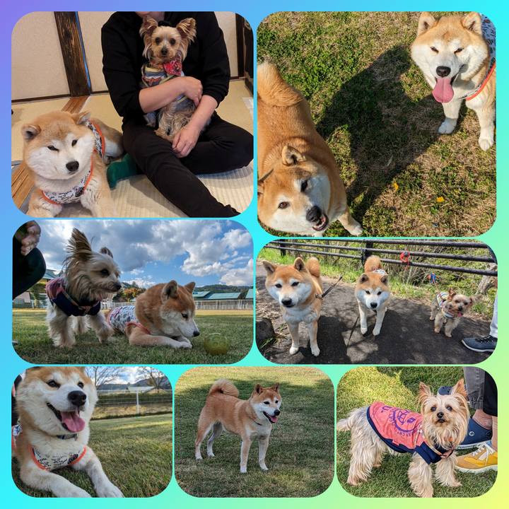 4fe0b0db c579 4787 bb95 5d1e0eeb7a96 1704020844796