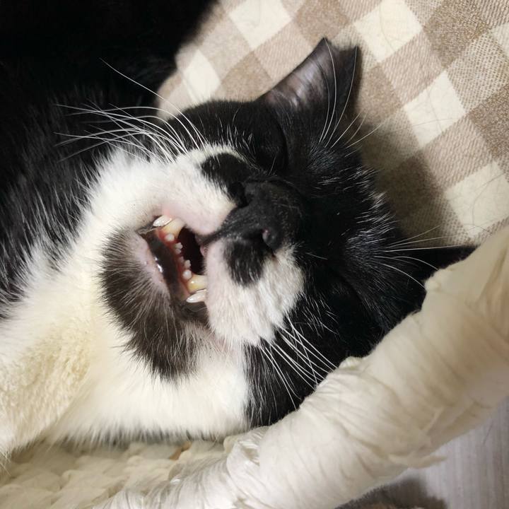 4fe0c217 a63a 4963 8216 4c4f98f3534f 1561667224608