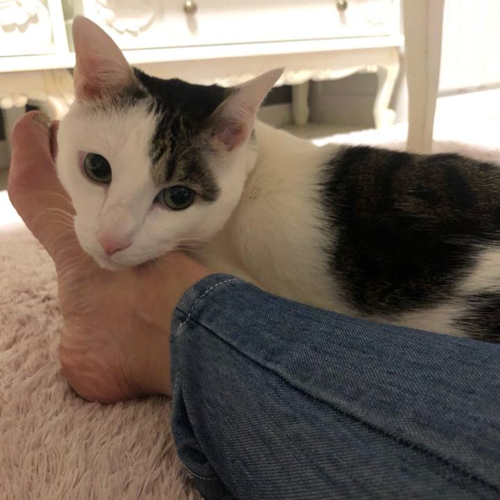 4fe0f439 cc79 4e8a 9f54 38fad22e2490 1584717347021