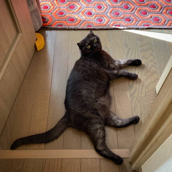 4fe0f4be 8a88 4571 a521 28d46424f055 1593687140168