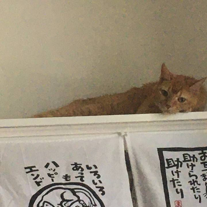 4fe14973 5c8a 4b08 b378 5c759d2ad95d 1655428472025