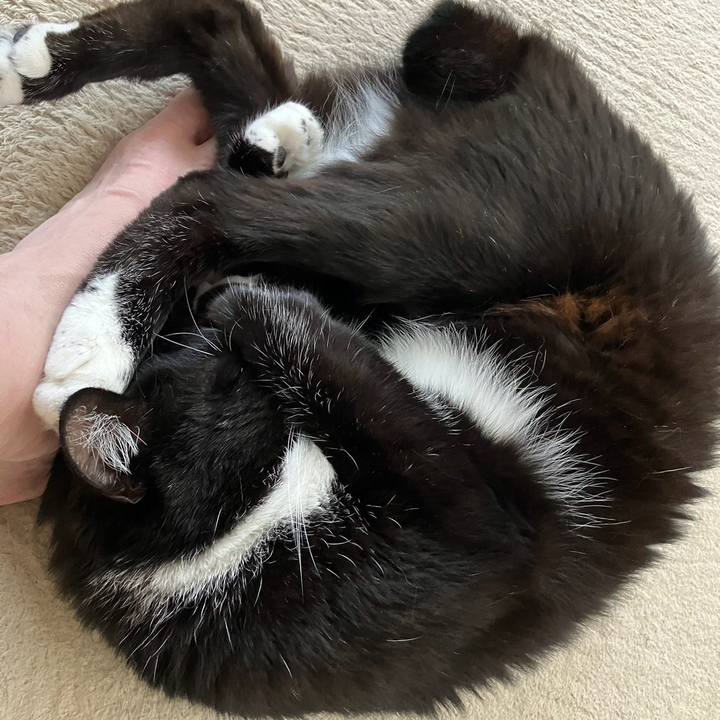 4fe17916 87d7 4b13 8077 e485efdfcc56 1720755557171