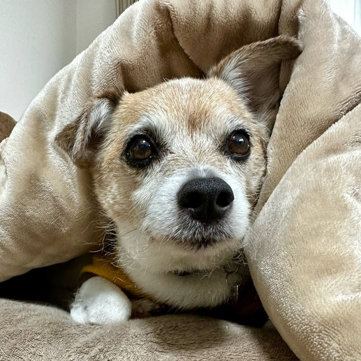 4fe18772 9283 46c7 8e30 1d649cf3c964 1670296807334