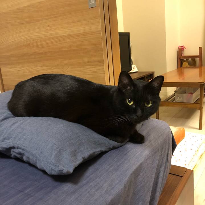 4fe1d574 80fc 412d ad7a 4caf38135ab5 1521731581189