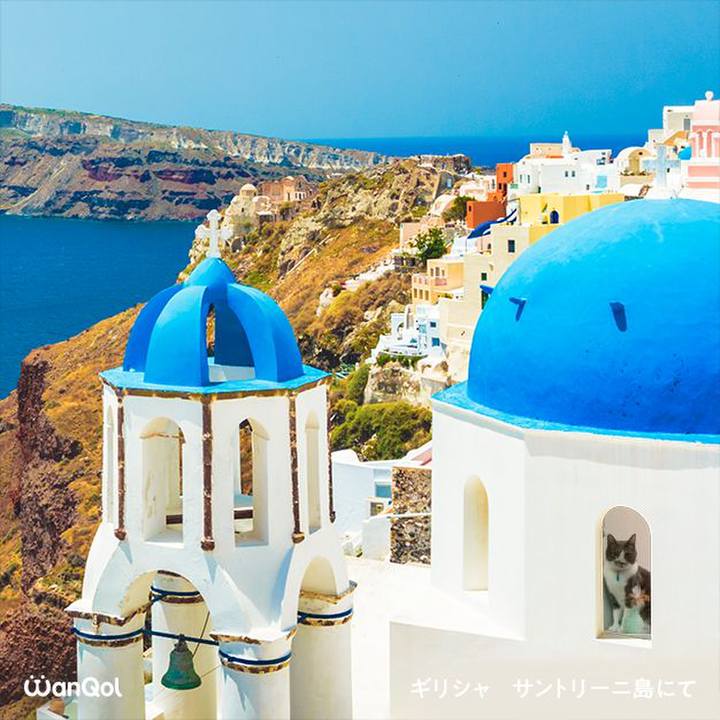 4fe1ec3d 2644 401a 9c1c ecdff3196b08 1639524308970