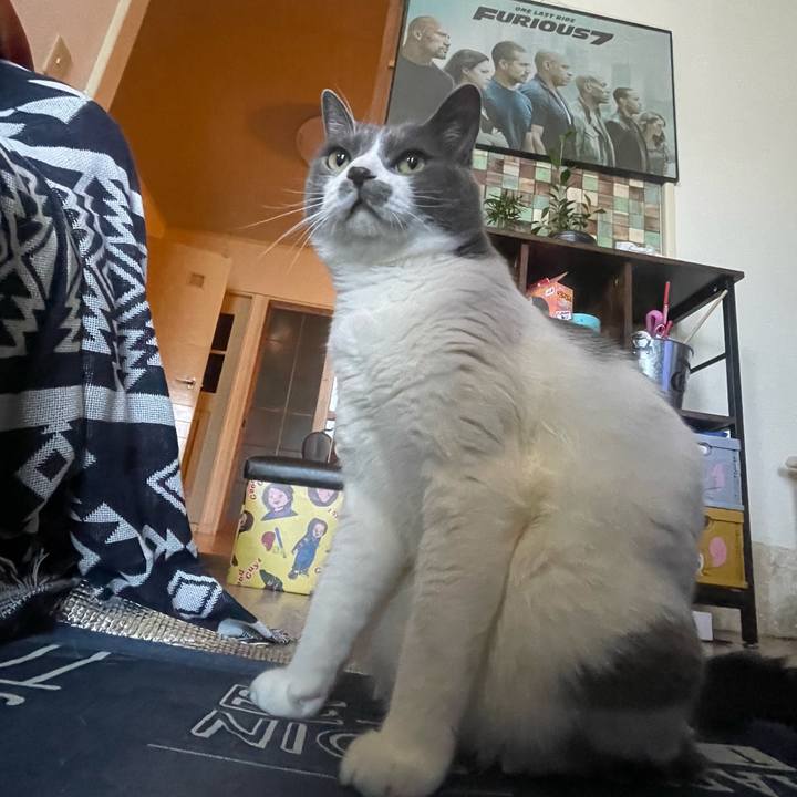 4fe1f279 aed9 4d30 a026 1f23f88524dd 1717979710332