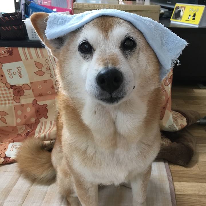 4fe249fb 4e4c 4647 8e1c 2a8564774abf 1519261981147