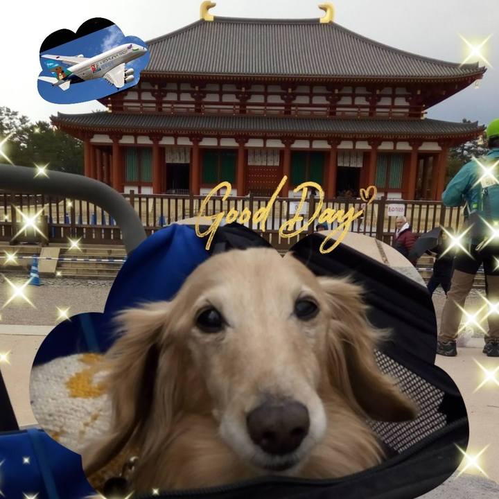 4fe2583a eea4 4361 a357 2f894394ff16 1597326710865