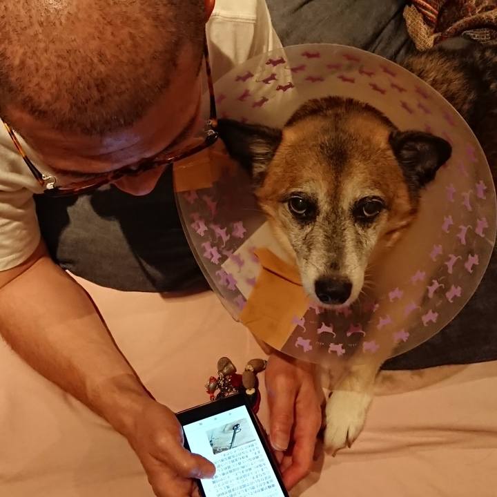 4fe28863 62f5 42b1 8b48 fb6be73f4b97 1595258950306