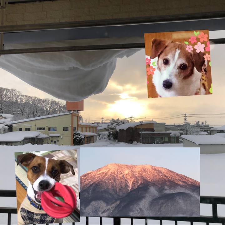 4fe2f9a9 c804 43a9 b5ae 01efe45cc26c 1546212789664