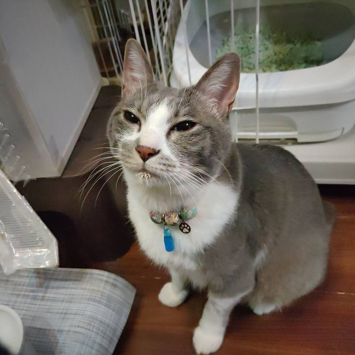 4fe320d6 6fe8 4ee5 a53a 1c273efff8e7 1696677679822