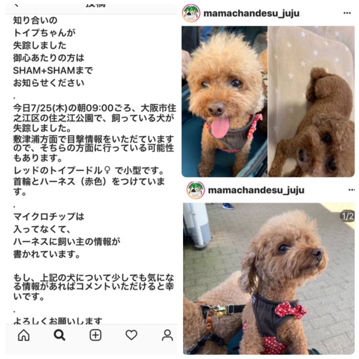 4fe33322 0c9c 473b 838c 8daf281e4417 1564095572485