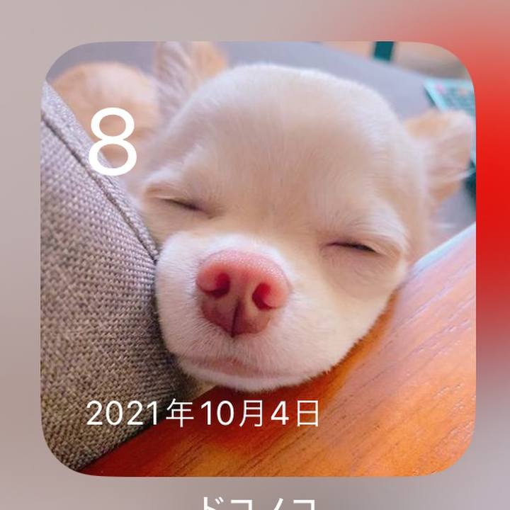 4fe33379 9122 44e1 a6e2 b3917a5b8c2f 1728371025778