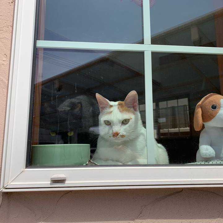 4fe34d3e 5a64 4c04 8759 7f32b5e73d3a 1555398395408