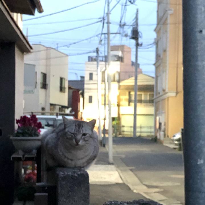 4fe34fba 5937 4142 93aa 7ad1f815b8b0 1552944648940