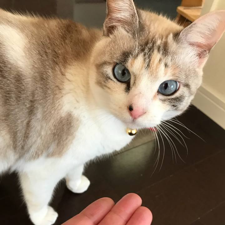 4fe358fd d982 4f24 a5ae 66b414f4aa44 1513420120359