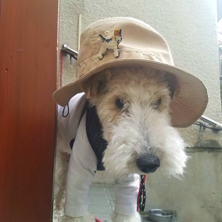 4fe36271 59f7 4701 abf0 24cbe618a6f5 1589707429485