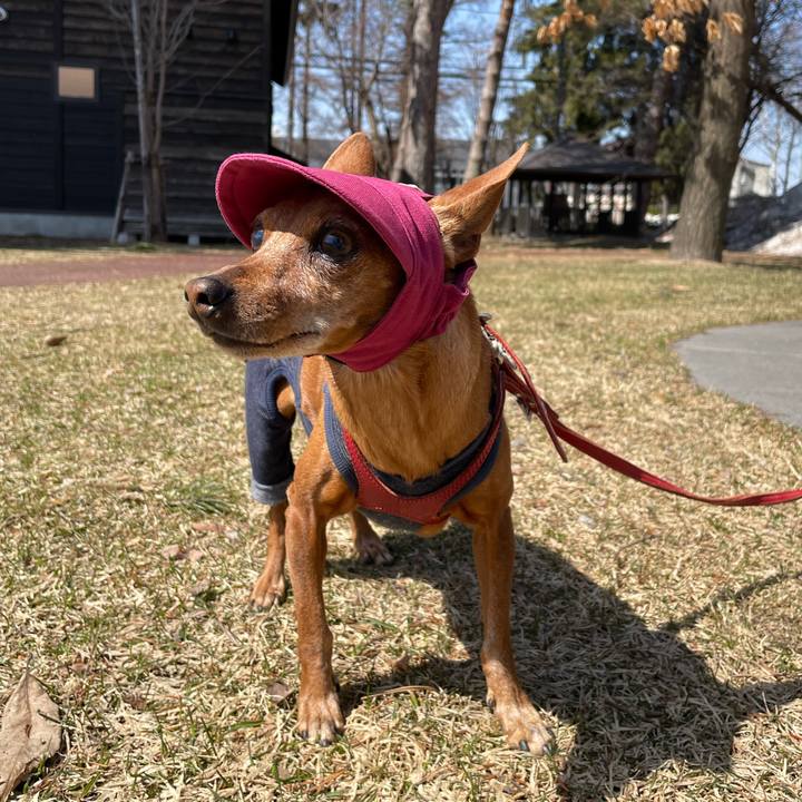 4fe3a55e a4cb 4c81 88f8 28abfd8cf716 1712567034587