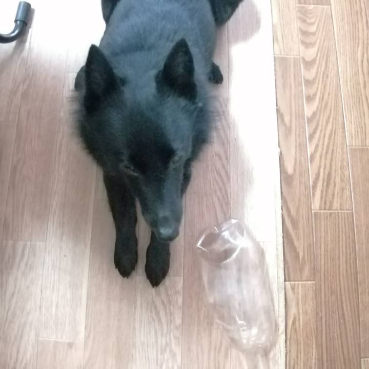 4fe3ca0e 75d9 4829 b847 8da138048d09 1646434045940