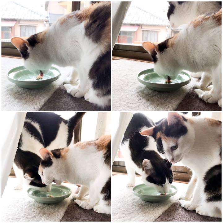 4fe3e516 6e06 4dcf b633 ea3bdc3c1e0c 1530357215439