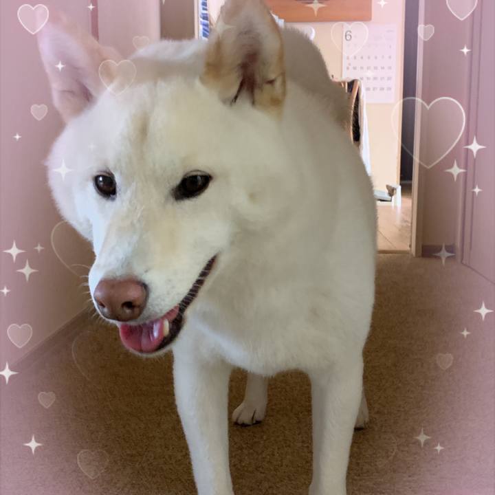 4fe3f7b2 98a8 4868 98e9 81813f92f061 1685996315013