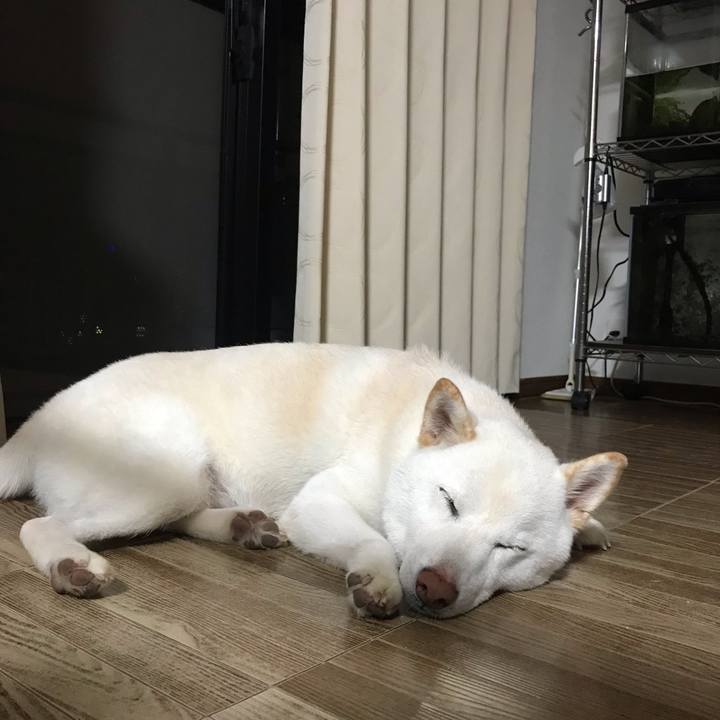 4fe40831 6df9 4b09 add0 dc978ac827e4 1569082404407