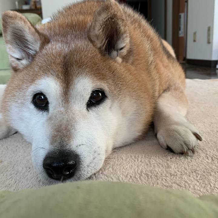 4fe41e57 0524 4284 b8a8 d9f9361816b6 1588304972853