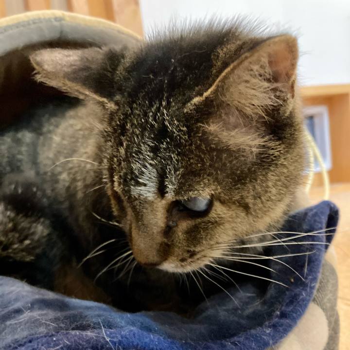 4fe472a0 f520 4bee a913 fa6c2ac22b38 1675983285215