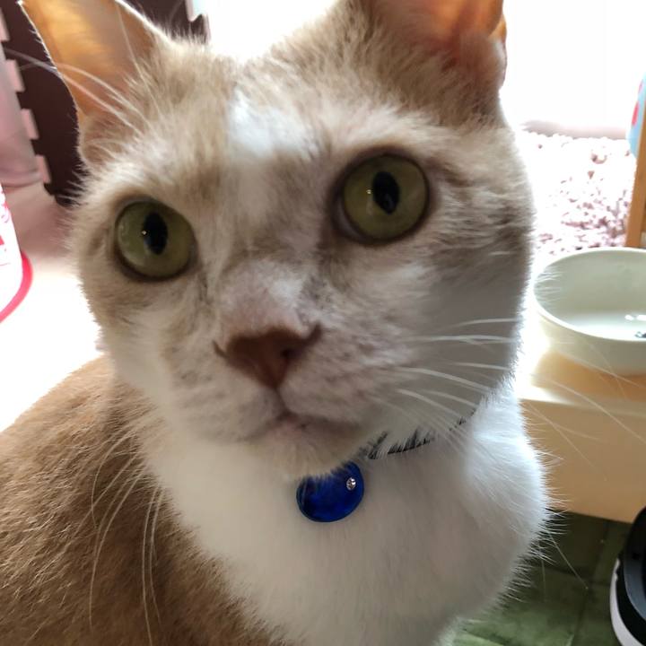 4fe47820 31fe 4e00 a814 17cc55f23c2c 1527763504675