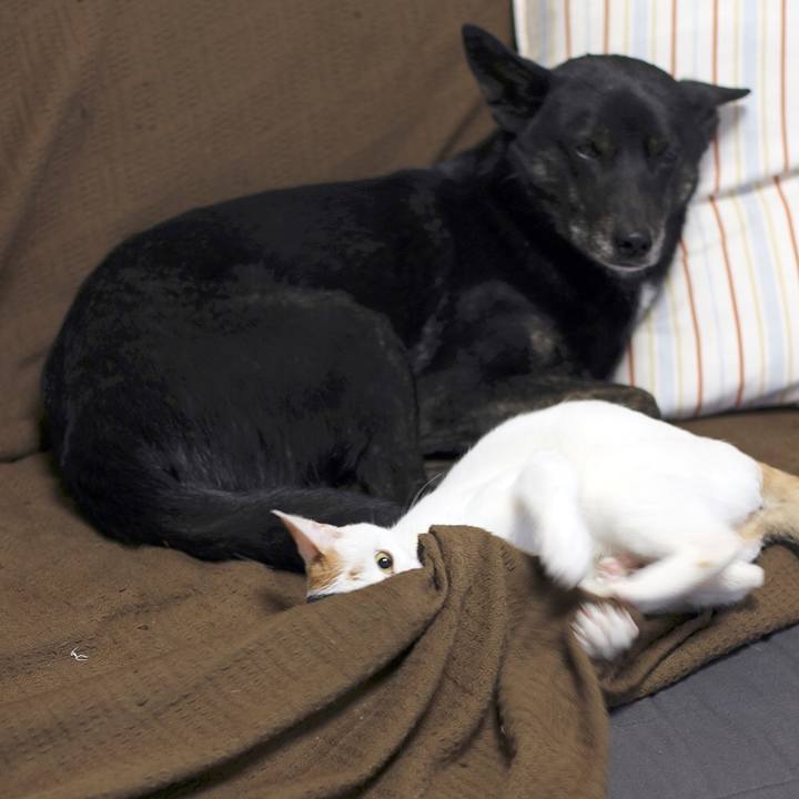 4fe4c10b 255e 436c 9b4f a315dee604ed 1556281380898