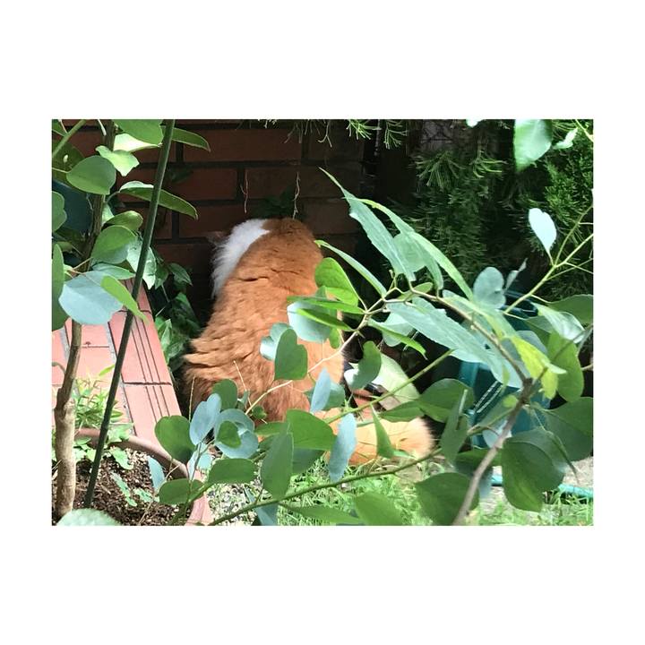 4fe5175c 3463 4259 9502 d6038985d492 1662367340877